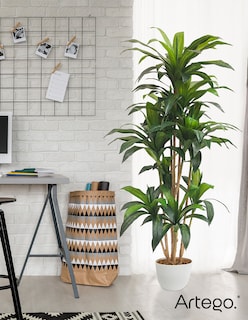 Foto 6 | Planta Artificial Decorativa Moderna Con Maceta Dracaena Palo De Brasil Grande De 170cm De Alto Artego