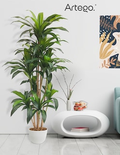 Foto 7 | Planta Artificial Decorativa Moderna Con Maceta Dracaena Palo De Brasil Grande De 170cm De Alto Artego