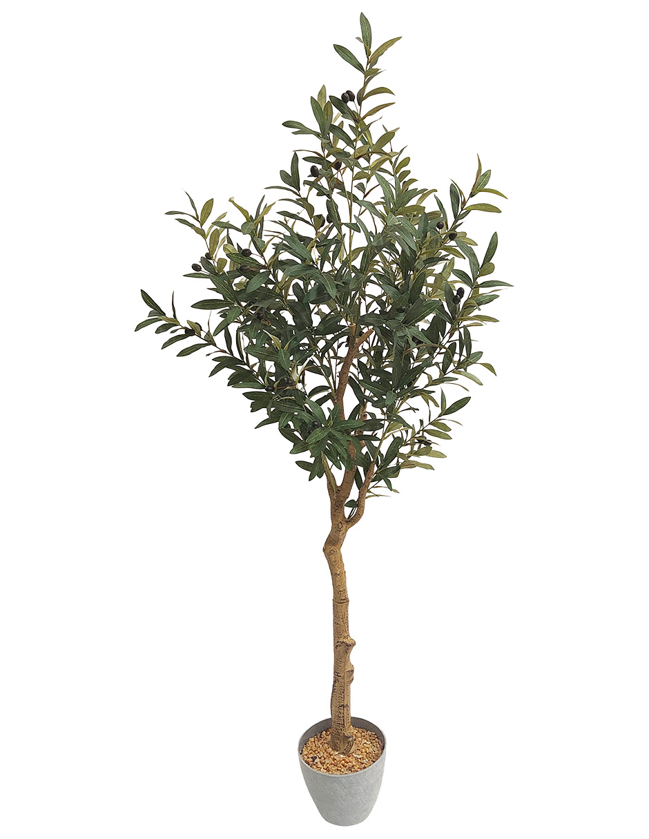 Foto 2 pulgar | Planta Artificial Decorativa Moderna Con Maceta Olivo Grande De 180cm De Alto Artego Para Hogar Sala Comercio Oficina