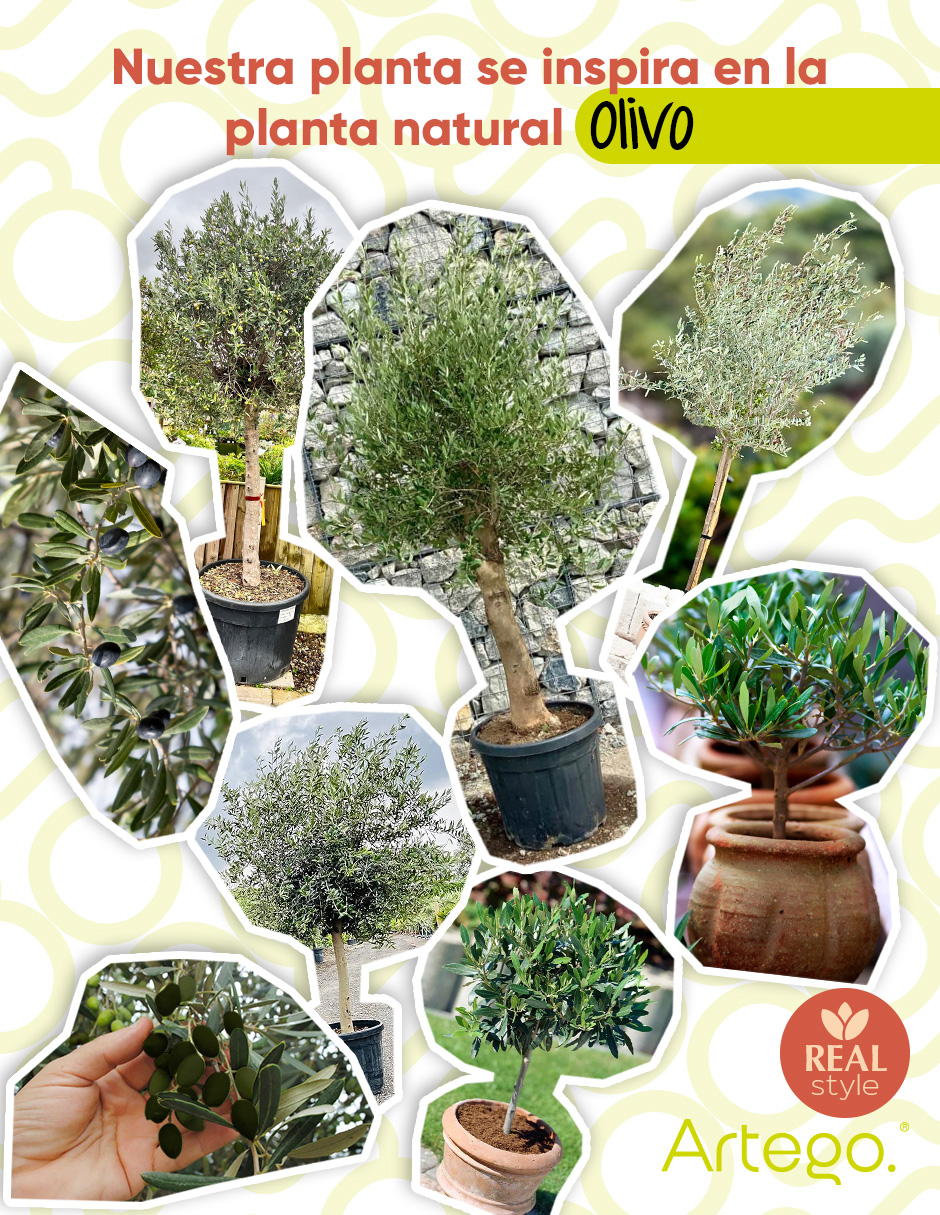 Foto 5 pulgar | Planta Artificial Decorativa Moderna Con Maceta Olivo Grande De 180cm De Alto Artego Para Hogar Sala Comercio Oficina