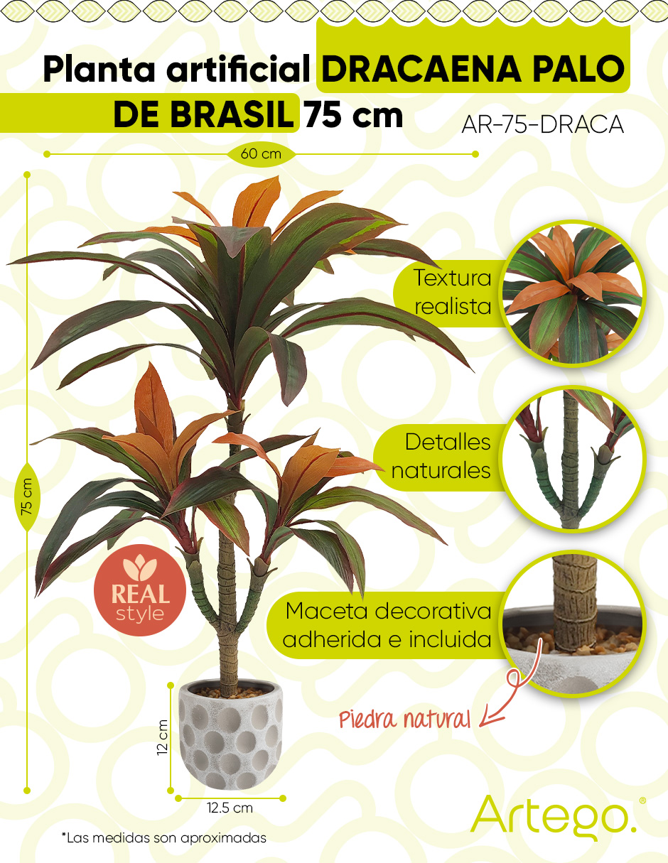 Foto 3 pulgar | Planta Artificial Decorativa Moderna Con Maceta Compacta Dracaena Palo De Brasil De 75cm De Alto Artego Para Hog