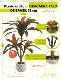 Foto 2 | Planta Artificial Decorativa Moderna Con Maceta Compacta Dracaena Palo De Brasil De 75cm De Alto Artego Para Hog