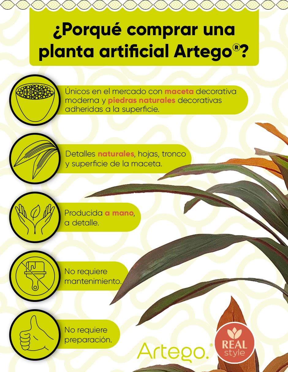 Foto 4 pulgar | Planta Artificial Decorativa Moderna Con Maceta Compacta Dracaena Palo De Brasil De 75cm De Alto Artego Para Hog