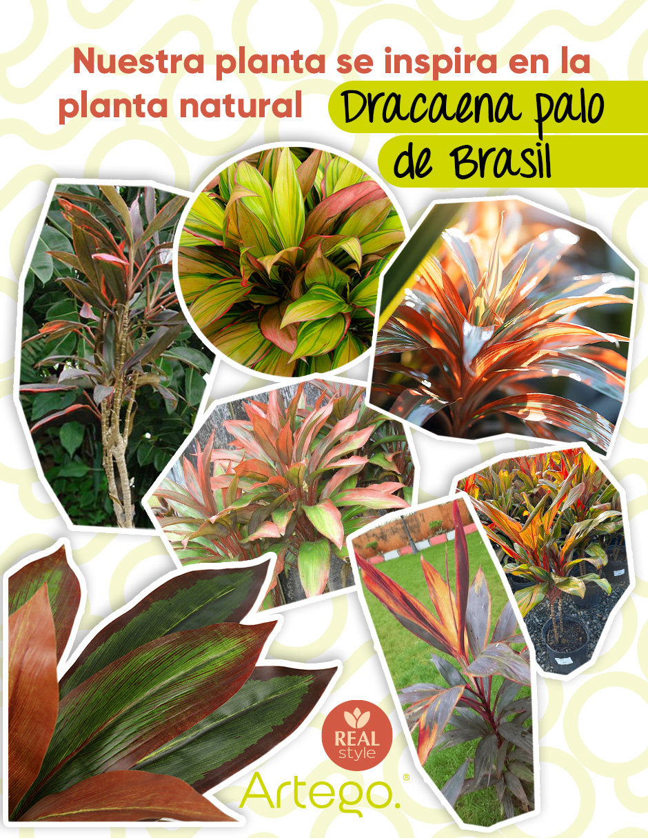 Foto 5 pulgar | Planta Artificial Decorativa Moderna Con Maceta Compacta Dracaena Palo De Brasil De 75cm De Alto Artego Para Hog