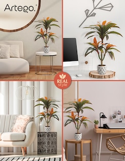 Foto 5 | Planta Artificial Decorativa Moderna Con Maceta Compacta Dracaena Palo De Brasil De 75cm De Alto Artego Para Hog