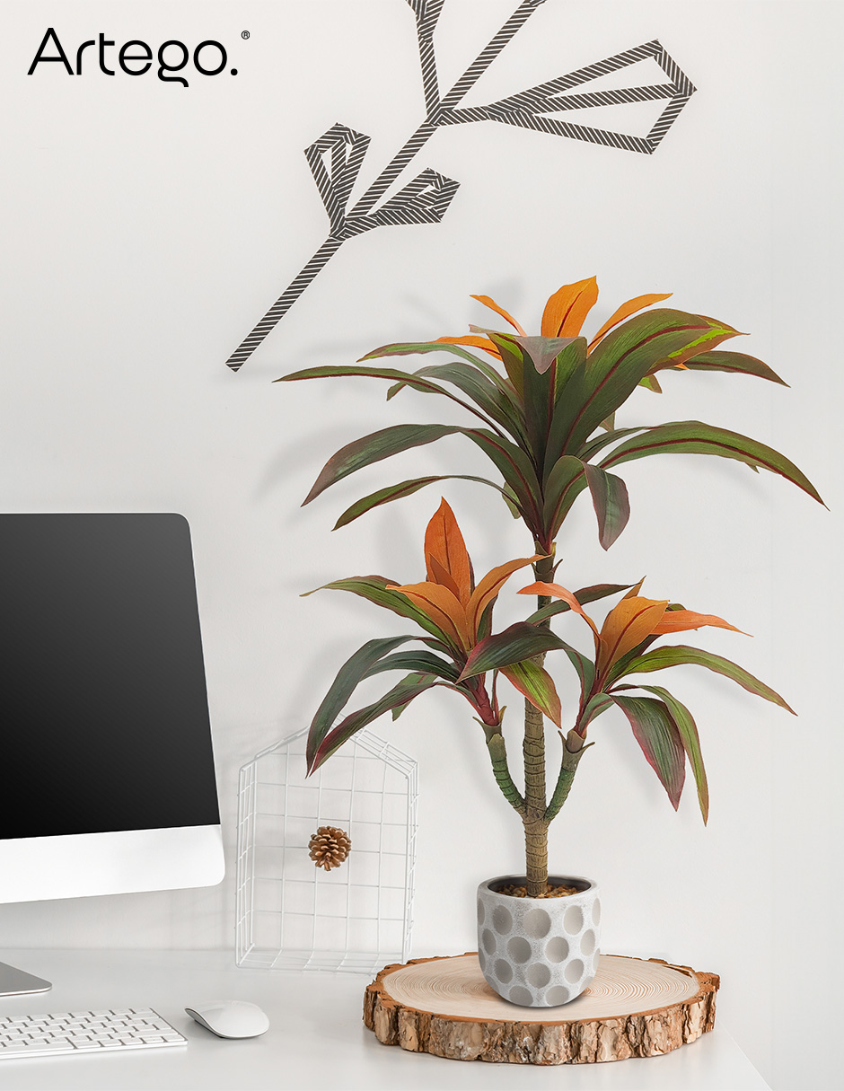 Foto 7 | Planta Artificial Decorativa Moderna Con Maceta Compacta Dracaena Palo De Brasil De 75cm De Alto Artego Para Hog