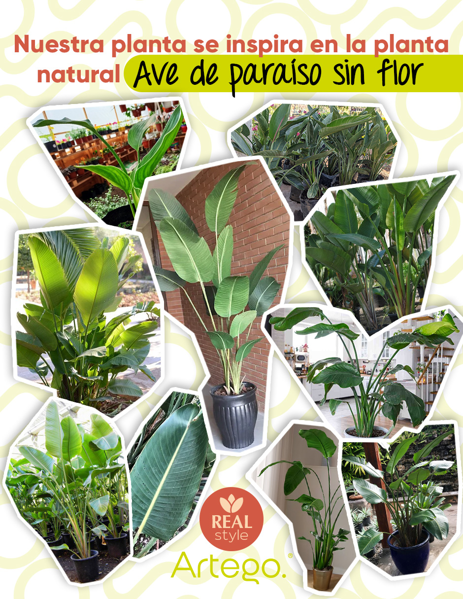 Foto 5 pulgar | Planta Artificial Decorativa Moderna Con Maceta Ave De Paraiso Sin Flor Grande De 150cm De Alto Artego