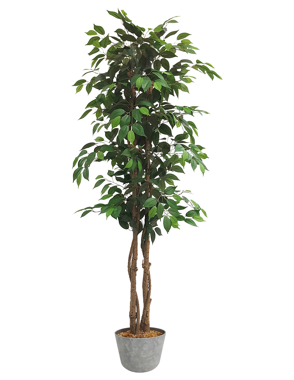 Foto 2 pulgar | Planta Artificial Decorativa Moderna Con Maceta Ficus Grande De 170cm De Alto Artego Para Hogar Sala Comercio Oficina