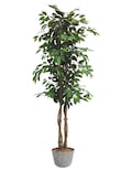 Planta Artificial Decorativa Moderna Con Maceta Ficus Grande De 170cm De Alto Artego Para Hogar Sala Comercio Oficina