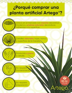 Foto 3 | Planta Artificial Decorativa Moderna Con Maceta Dracaena Palo De Brasil De 140cm De Alto Artego Para Hogar Sala