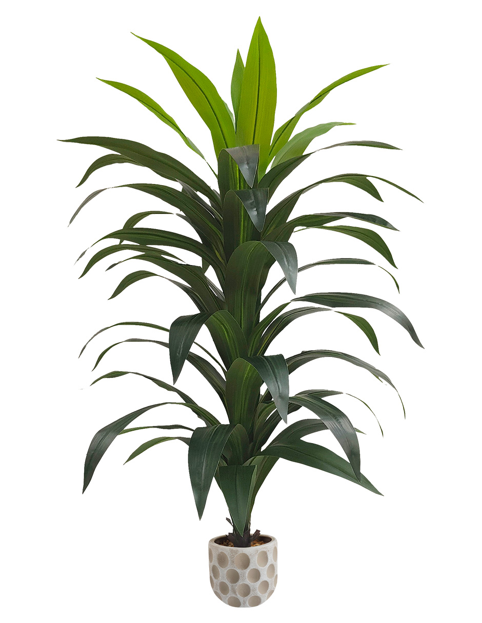 Foto 2 pulgar | Planta Artificial Decorativa Moderna Con Maceta Dracaena Palo De Brasil Grande De 150cm De Alto Artego