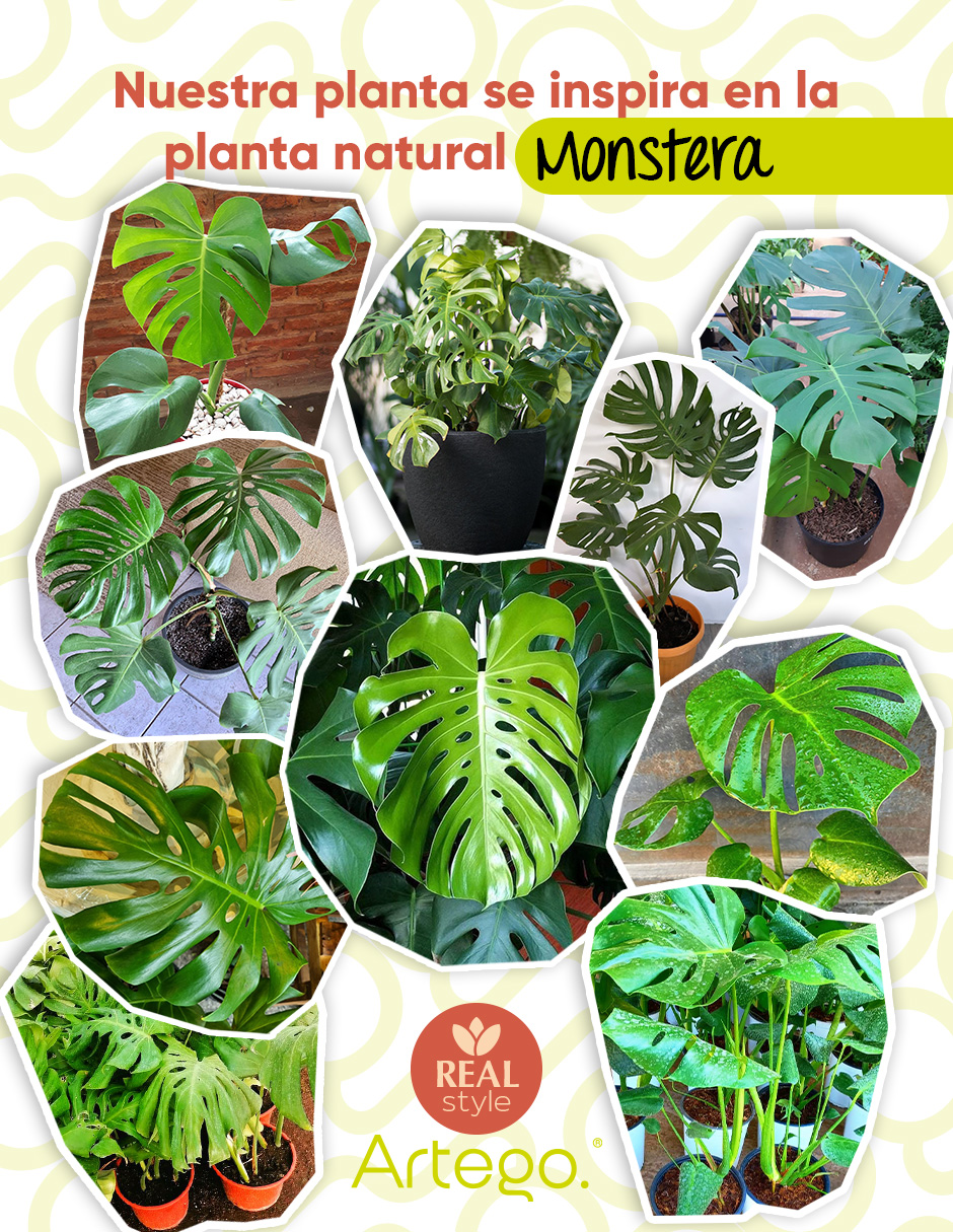 Foto 5 pulgar | Planta Artificial Decorativa Moderna Con Maceta Compacta Monstera De 60cm De Alto Artego Para Hogar Sala Comercio Ofici