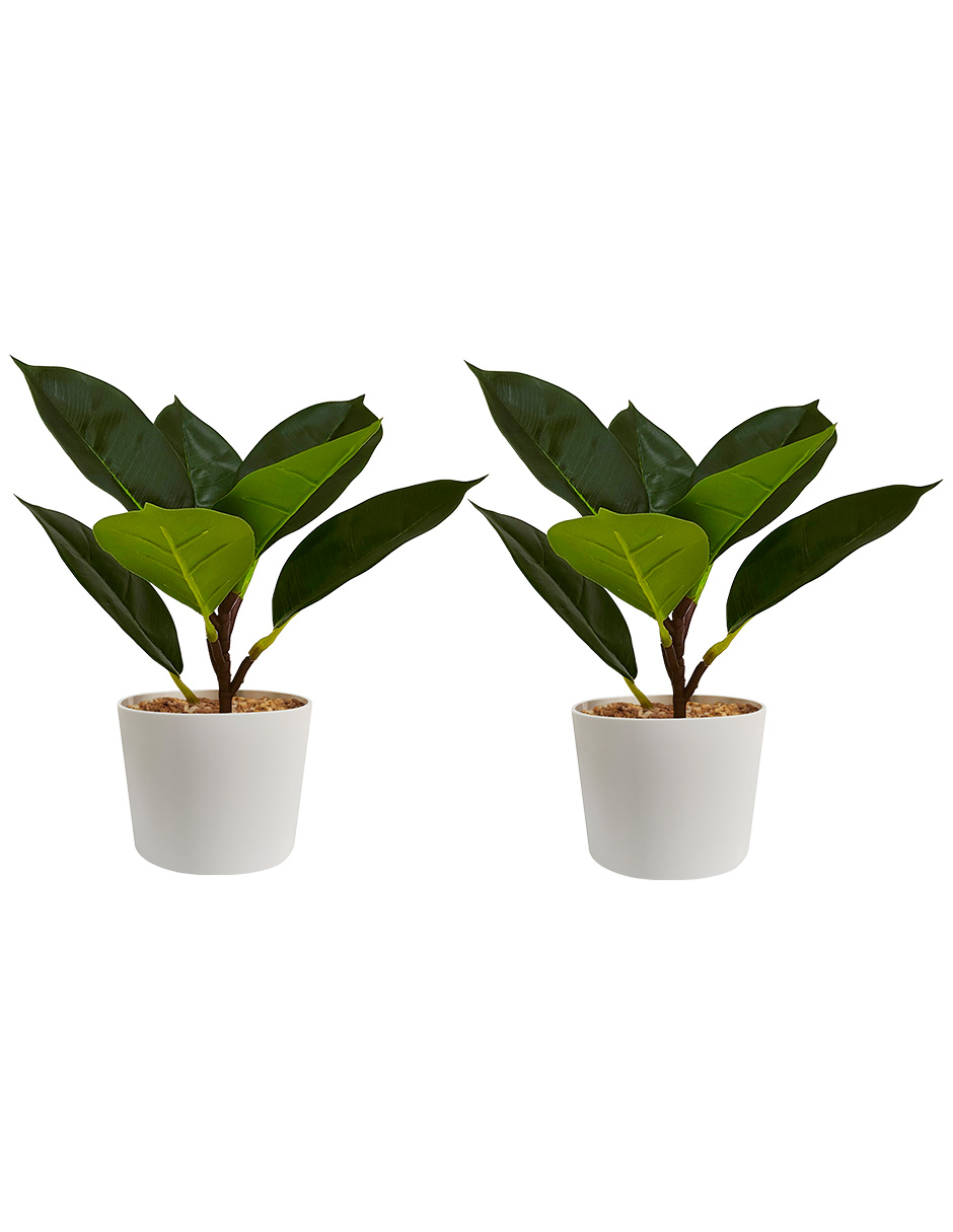 Planta Artificial Decorativa Moderna Con Maceta Compacta Pack De 2 Unidades Oak De 30cm De Alto Artego