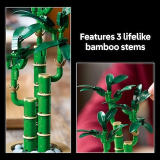 Foto 4 | Set De Construcción Lego Botanicals Lucky Bamboo 10344 Con 325 Piezas - Venta Internacional.