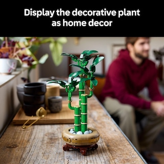 Foto 6 | Set De Construcción Lego Botanicals Lucky Bamboo 10344 Con 325 Piezas - Venta Internacional.