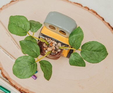 Foto 5 | Minimoleta De Cerámica Plateada Con Diseño De Búfalo Disney Pixar Wall-e Con Suculentas - Venta Internacional.