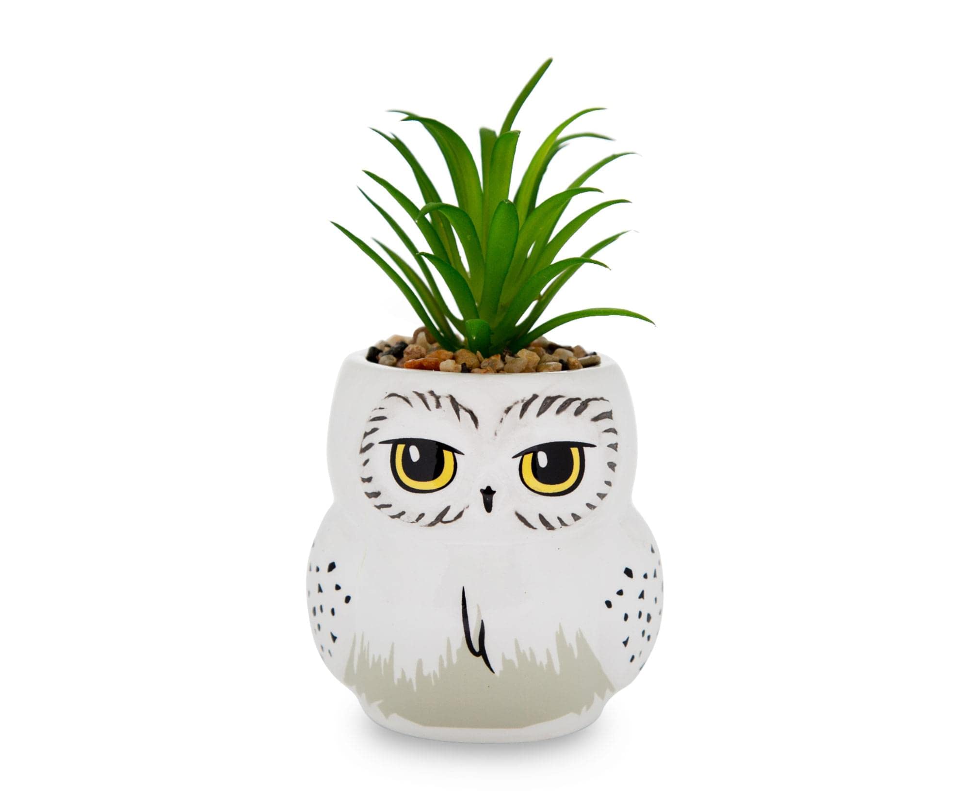 Foto 1 | Mini Maceta Silver Buffalo Harry Potter Hedwig Con Suculentas - Venta Internacional.