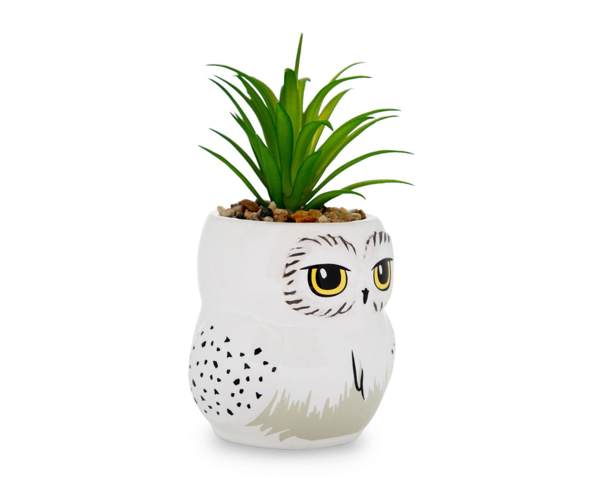 Foto 2 | Mini Maceta Silver Buffalo Harry Potter Hedwig Con Suculentas - Venta Internacional.