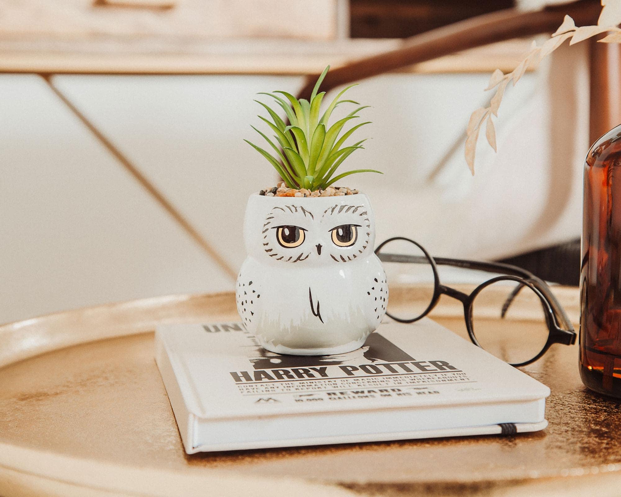 Foto 5 | Mini Maceta Silver Buffalo Harry Potter Hedwig Con Suculentas - Venta Internacional.
