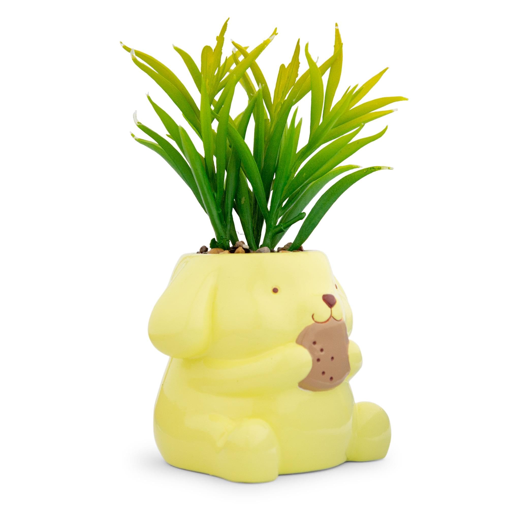 Foto 3 pulgar | Mini Macetero Sanrio Pompompurin De Cerámica Con Planta Artificial - Venta Internacional.