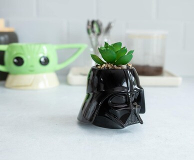 Foto 3 | Minimoleta De Cerámica Toynk Star Wars Darth Vader Con Suculentas - Venta Internacional.