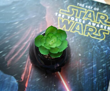 Foto 4 | Minimoleta De Cerámica Toynk Star Wars Darth Vader Con Suculentas - Venta Internacional.