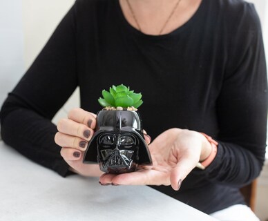 Foto 5 | Minimoleta De Cerámica Toynk Star Wars Darth Vader Con Suculentas - Venta Internacional.