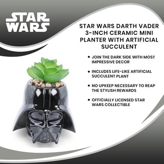 Foto 7 | Minimoleta De Cerámica Toynk Star Wars Darth Vader Con Suculentas - Venta Internacional.