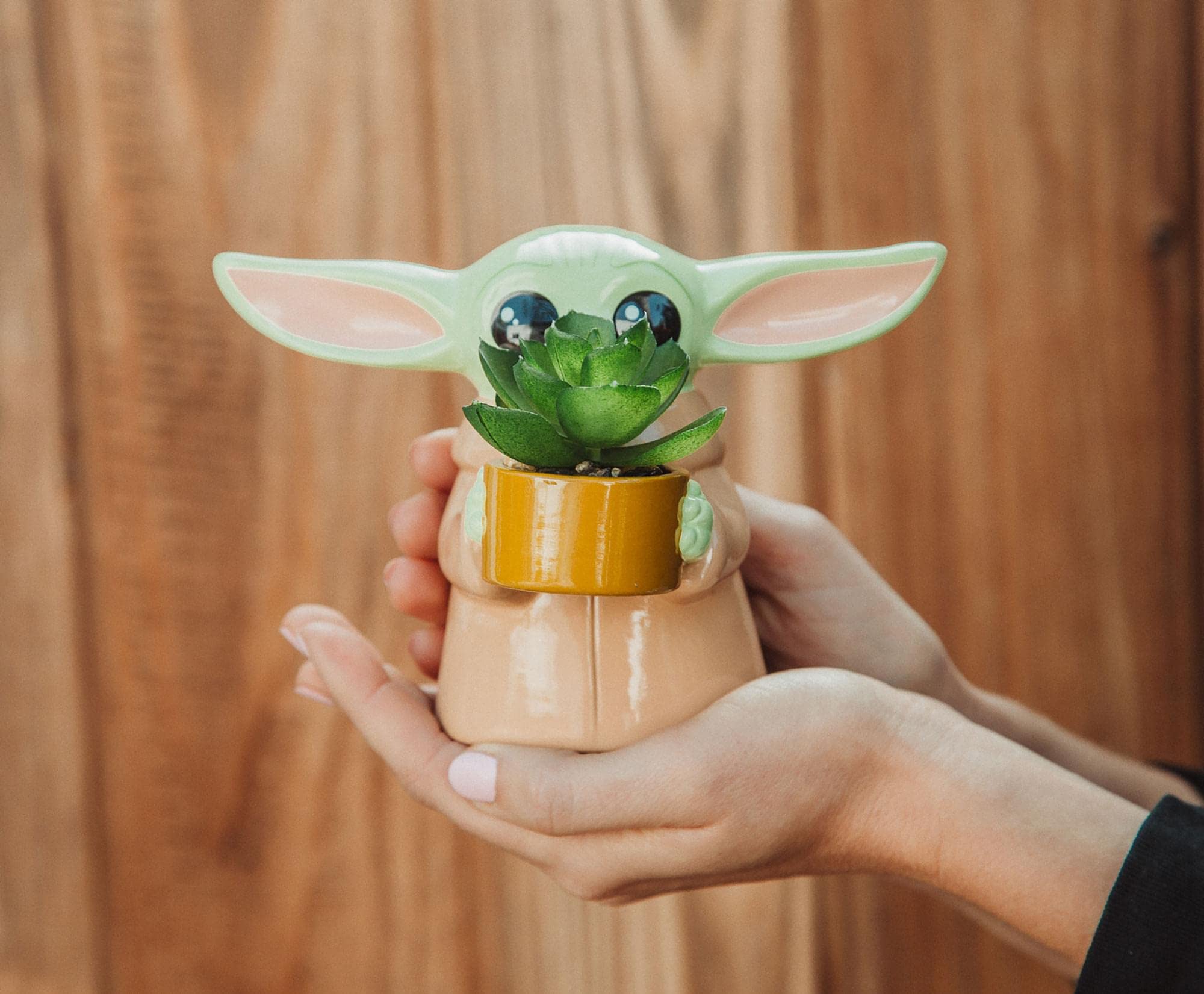 Foto 4 pulgar | Macetero Pequeño De Cerámica Silver Buffalo Star Wars Grogu De 10 Cm - Venta Internacional.