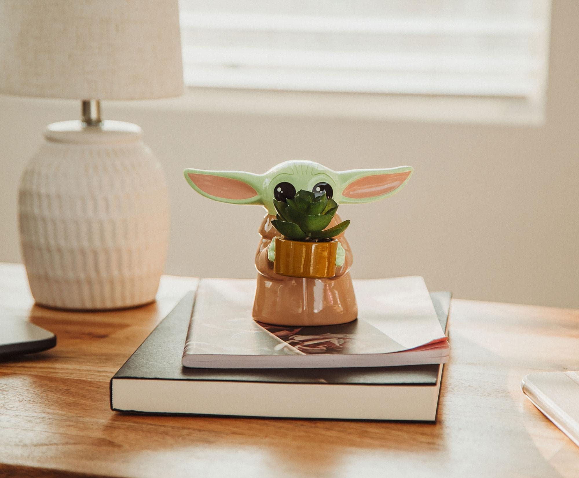 Foto 5 | Macetero Pequeño De Cerámica Silver Buffalo Star Wars Grogu De 10 Cm - Venta Internacional.