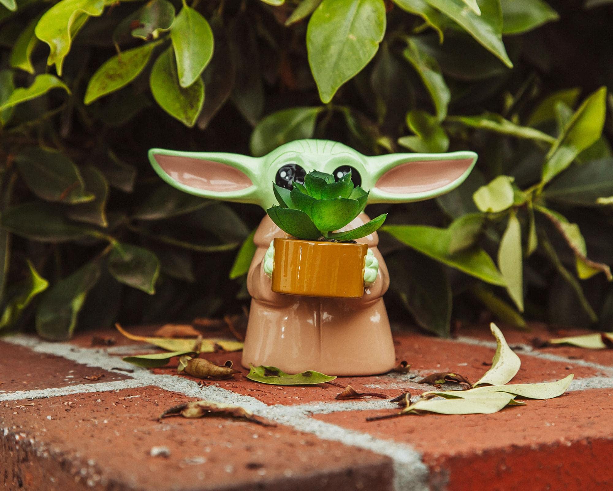 Foto 6 | Macetero Pequeño De Cerámica Silver Buffalo Star Wars Grogu De 10 Cm - Venta Internacional.