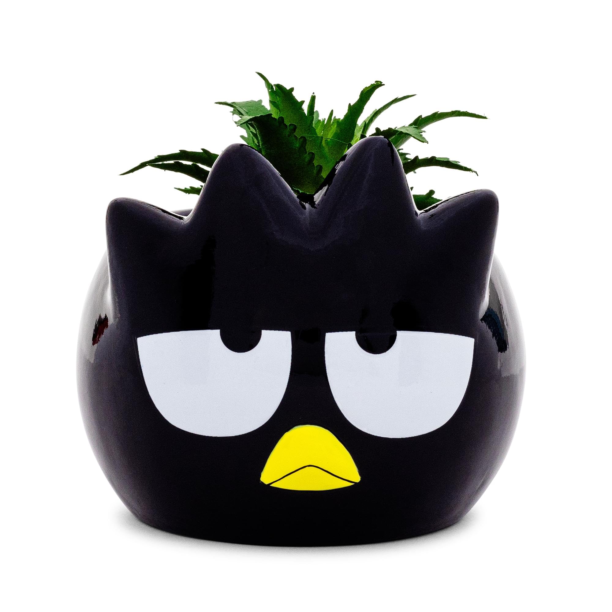 Mini Maceta Sanrio Badtz-maru De Cerámica Con Plantas Suculentas Artificiales - Venta Internacional.