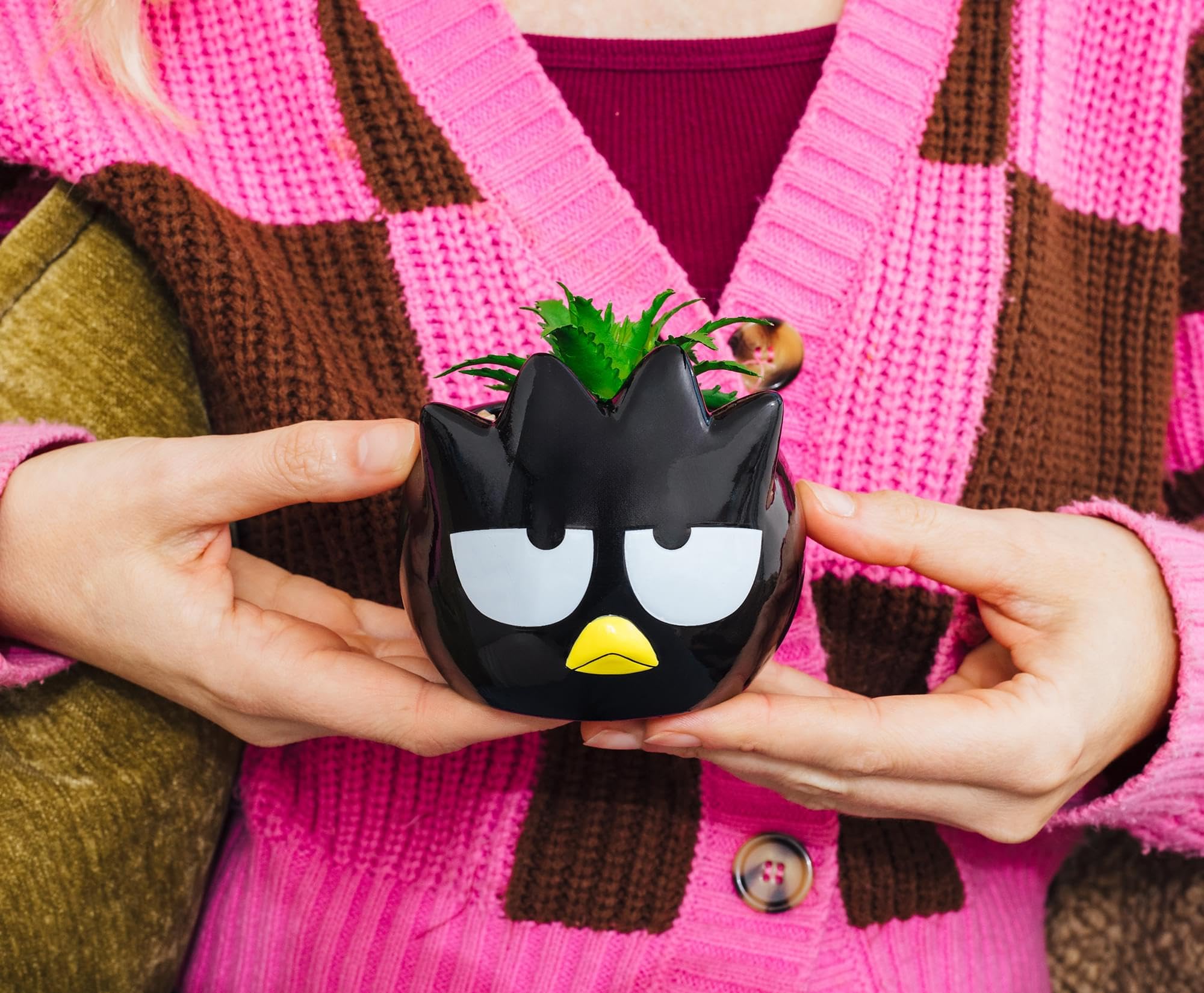 Foto 8 pulgar | Mini Maceta Sanrio Badtz-maru De Cerámica Con Plantas Suculentas Artificiales - Venta Internacional.