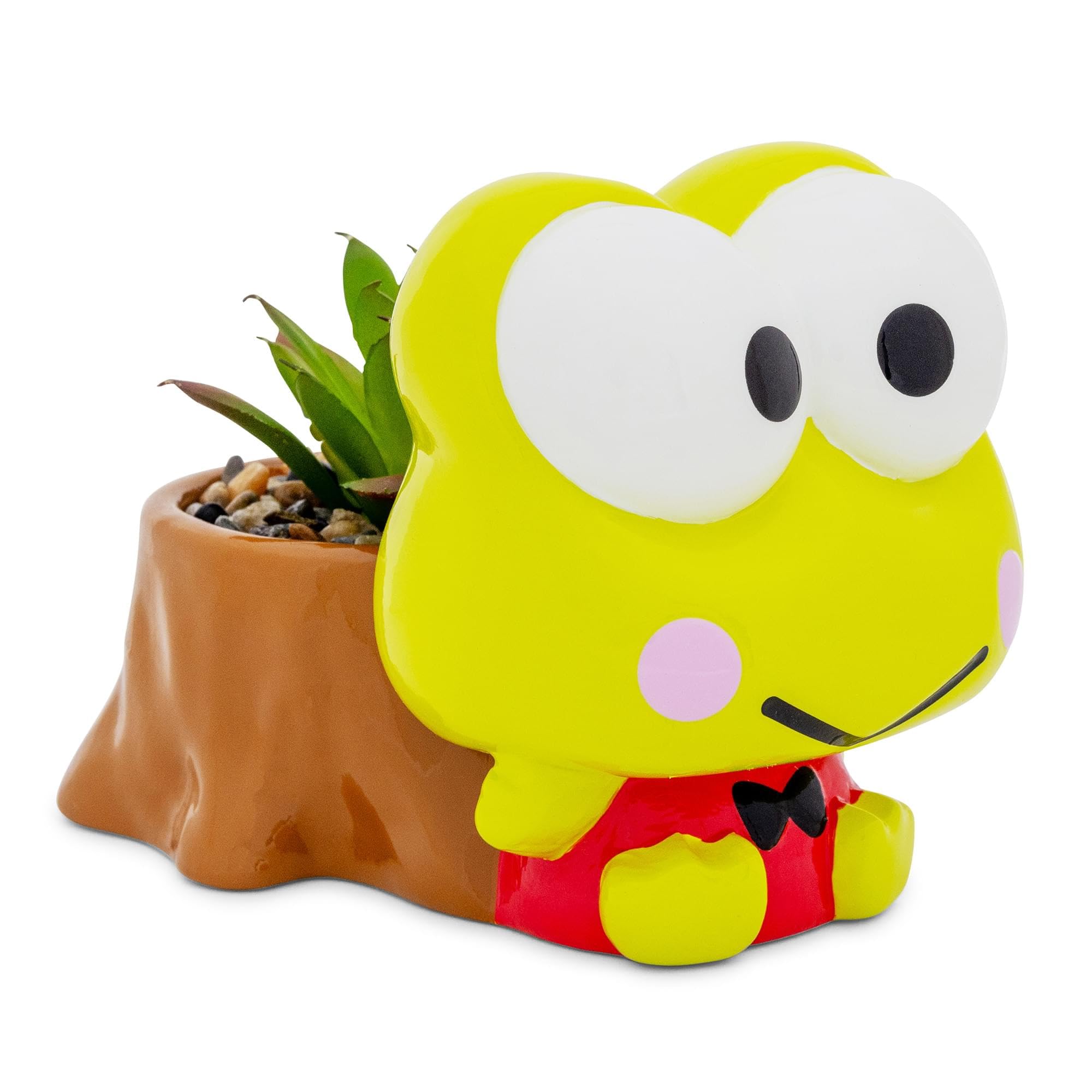Mini Maceta Plateada Con Tocón De Búfalo Sanrio Keroppi Con Suculentas - Venta Internacional.