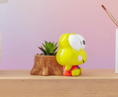 Foto 7 | Mini Maceta Plateada Con Tocón De Búfalo Sanrio Keroppi Con Suculentas - Venta Internacional.