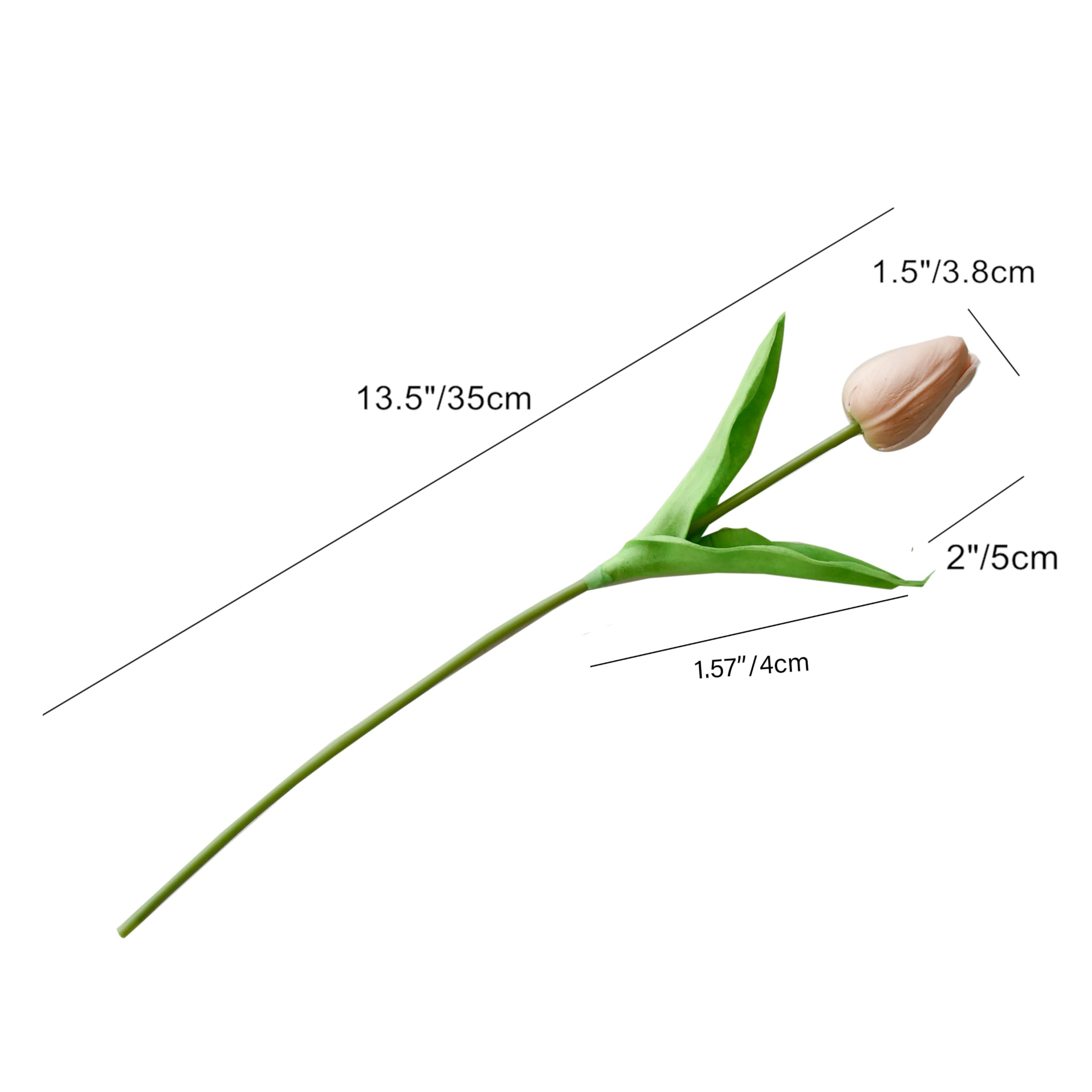 Foto 2 | Flores Artificiales De Seda De Tulipán Mandy, 20 Unidades, Color Marrón Claro - Venta Internacional.