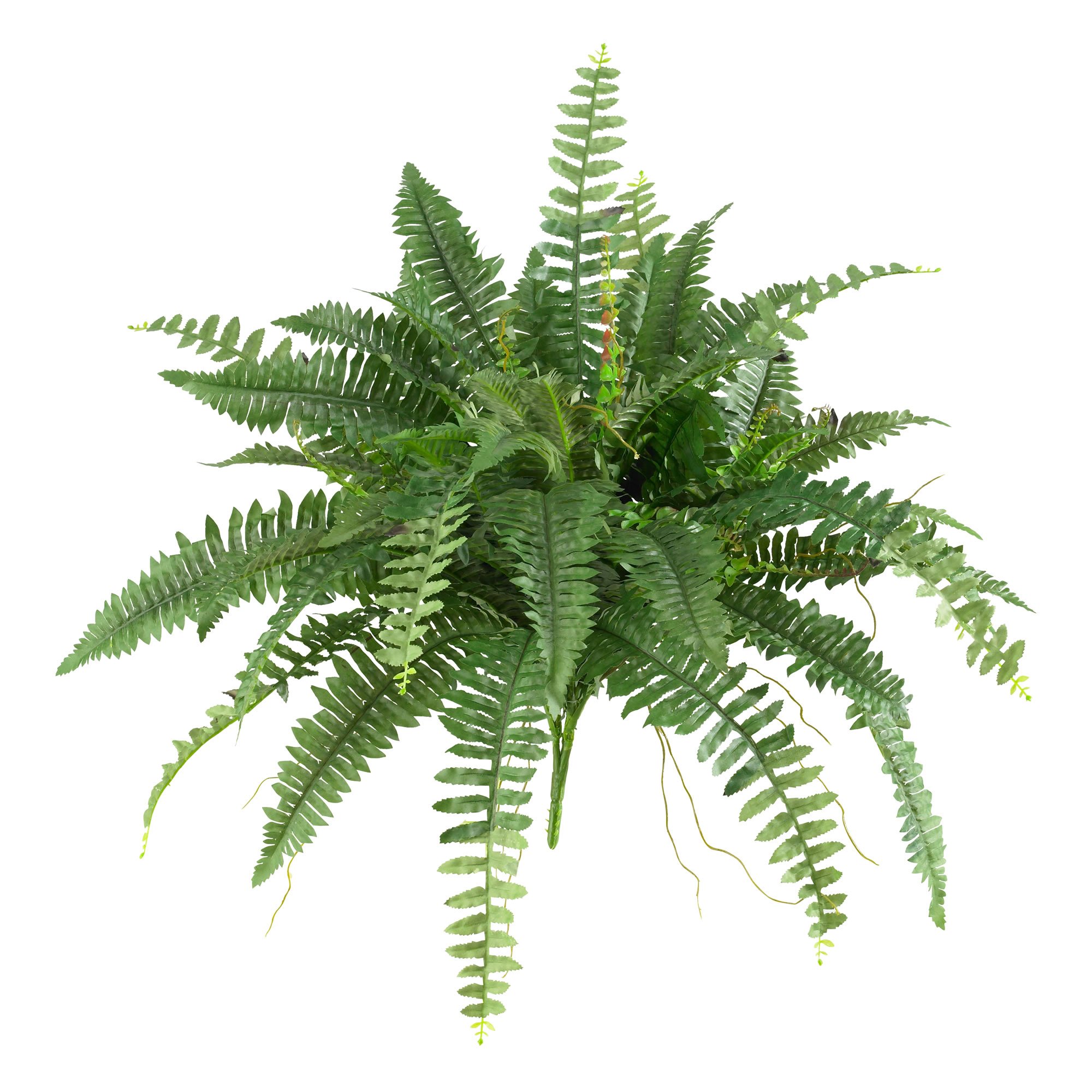 Helecho Artificial De Boston Casi Natural De 1,02 M Con 56 Hojas - Venta Internacional.