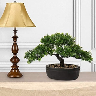 Foto 4 | Bonsái Artificial Briful de 14 cm-Venta Internacional