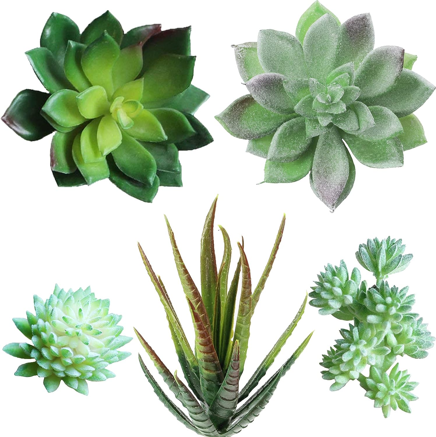 Foto 1 | Plantas Suculentas Artificiales Jieyou Surtidas, 20 Unidades - Venta Internacional.