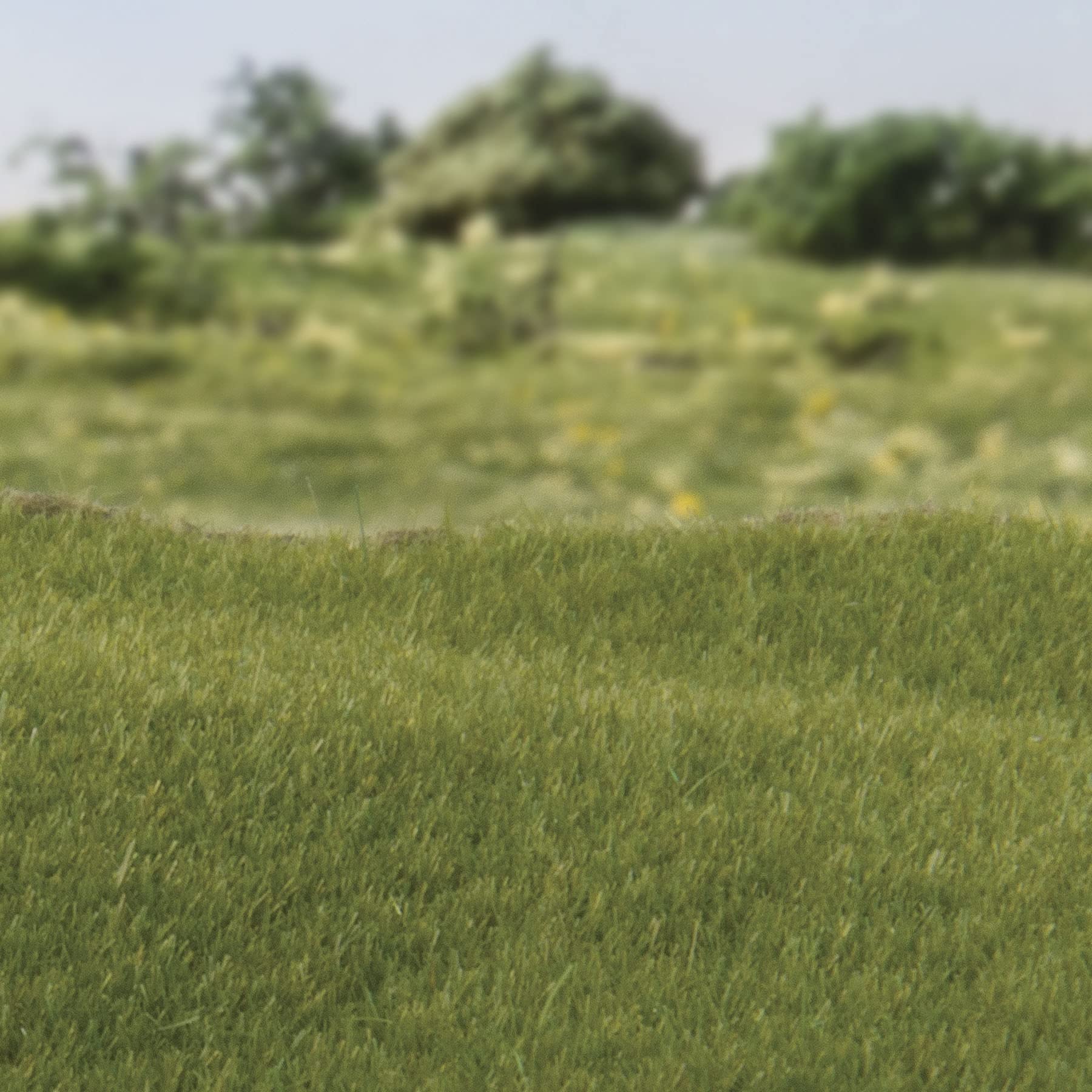 Foto 2 | Static Grass Woodland Scenics, Verde Oscuro, 2 Mm, 70 G - Venta Internacional.