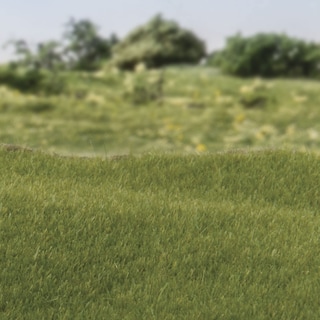 Foto 2 | Static Grass Woodland Scenics, Verde Oscuro, 2 Mm, 70 G - Venta Internacional.