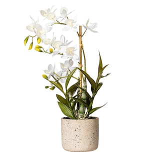 Foto 1 | Orquídea Artificial Cycnoches Vickerman Everyday En Maceta, 19 Pulgadas - Venta Internacional.