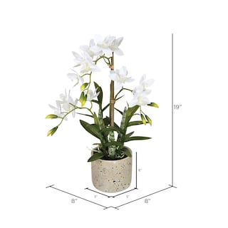 Foto 2 | Orquídea Artificial Cycnoches Vickerman Everyday En Maceta, 19 Pulgadas - Venta Internacional.
