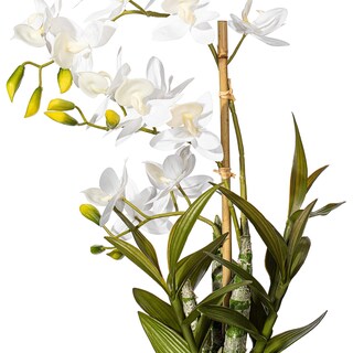 Foto 4 | Orquídea Artificial Cycnoches Vickerman Everyday En Maceta, 19 Pulgadas - Venta Internacional.