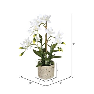 Foto 5 | Orquídea Artificial Cycnoches Vickerman Everyday En Maceta, 19 Pulgadas - Venta Internacional.