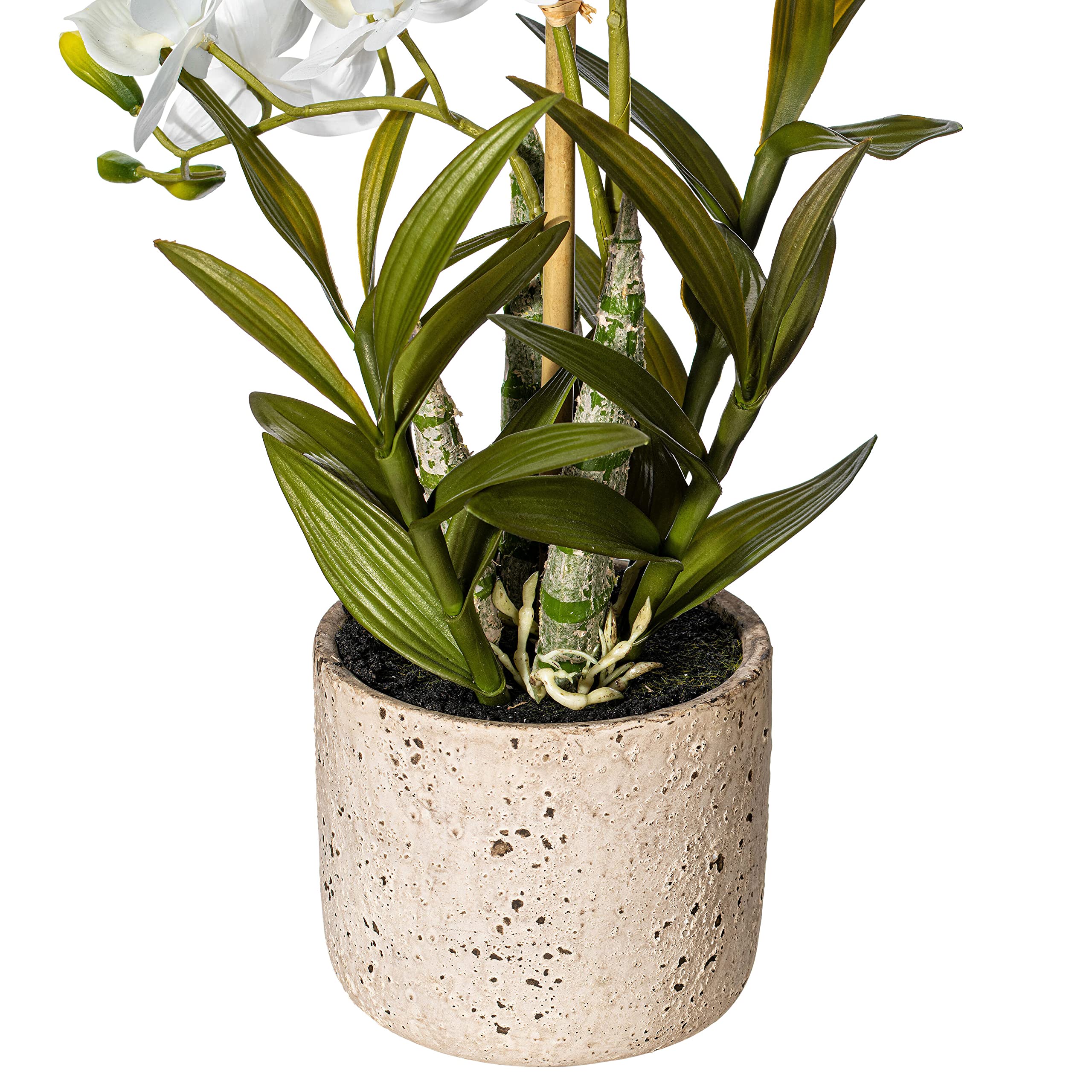 Foto 6 | Orquídea Artificial Cycnoches Vickerman Everyday En Maceta, 19 Pulgadas - Venta Internacional.