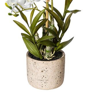 Foto 6 | Orquídea Artificial Cycnoches Vickerman Everyday En Maceta, 19 Pulgadas - Venta Internacional.
