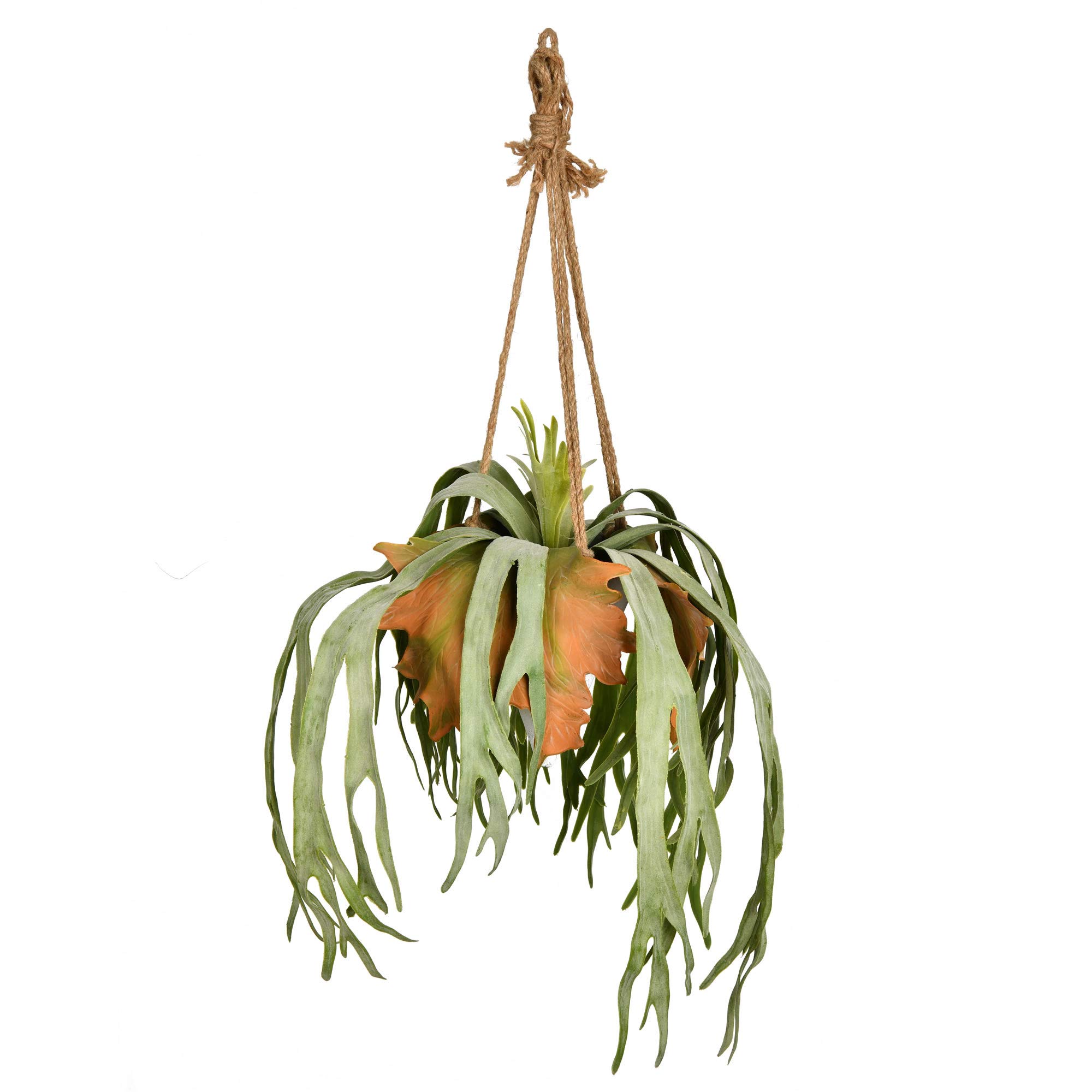 Planta Artificial Vickerman Everyday Staghorn Fern Con Maceta De Cerámica - Venta Internacional.