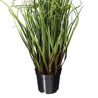 Foto 2 | Planta Artificial De Césped Verde Y Eucalipto Vickerman De 24 Pulgadas - Venta Internacional.