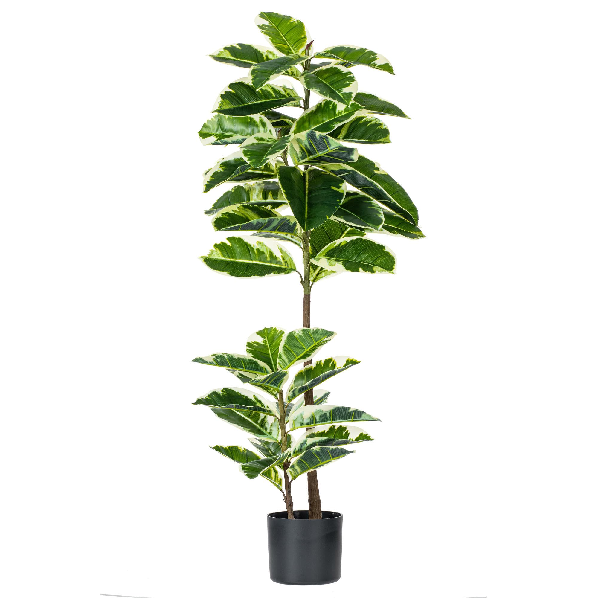 Árbol Artificial De Dieffenbachia En Maceta Vickerman Everyday, 50 Cm - Venta Internacional.